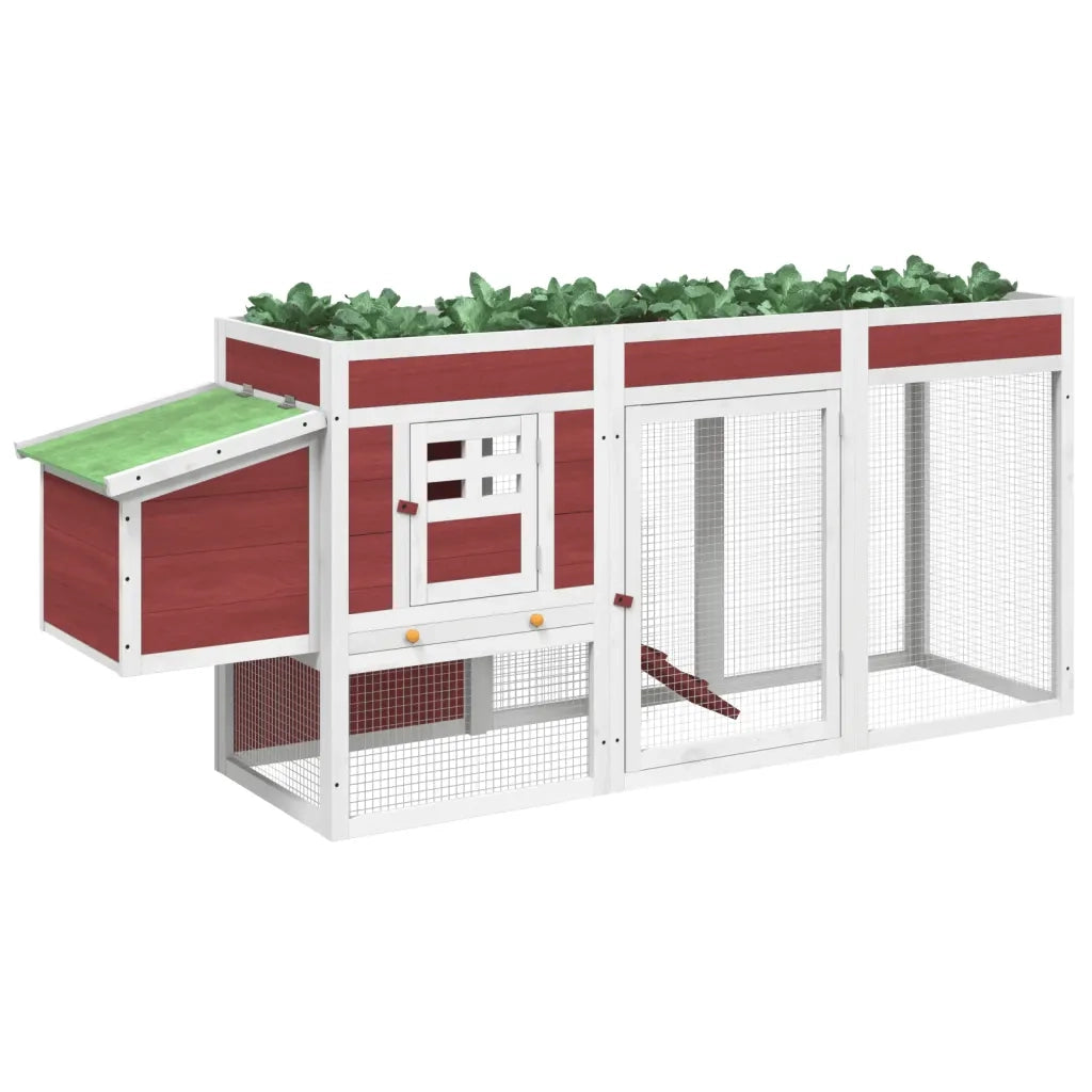 Pollaio Moka 204x50x84 cm in Legno Massello di Pino CFW9690710