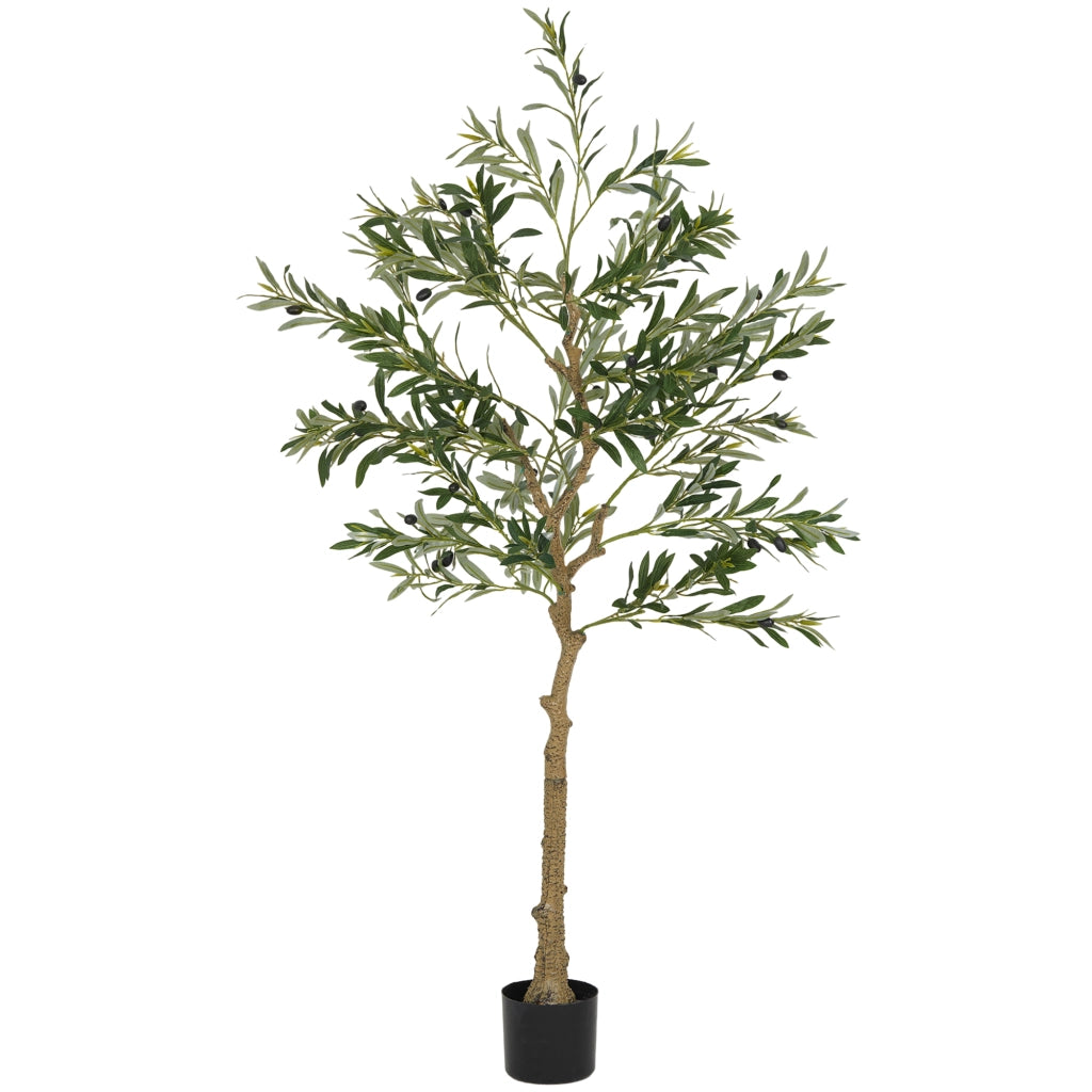 Albero di Olivo Artificiale ¨C zephmum ¨C Verde 150 cm