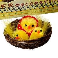 Set 24 Chioccia con Pulcino H 6 cm