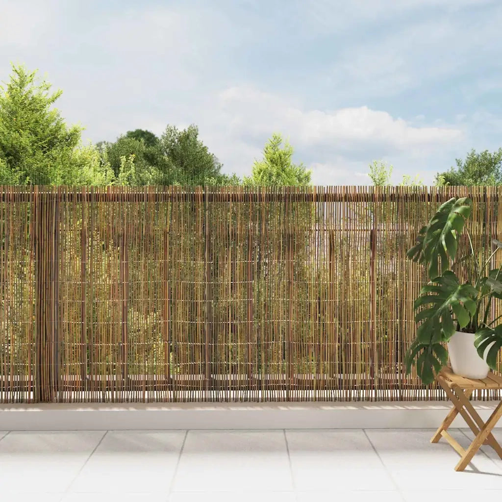 Recinzione in bambù Naturale 600 x 125 cm Bambù 42006523