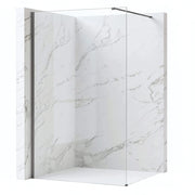 Parete Doccia Rea Flexi Transparent / Titan 70