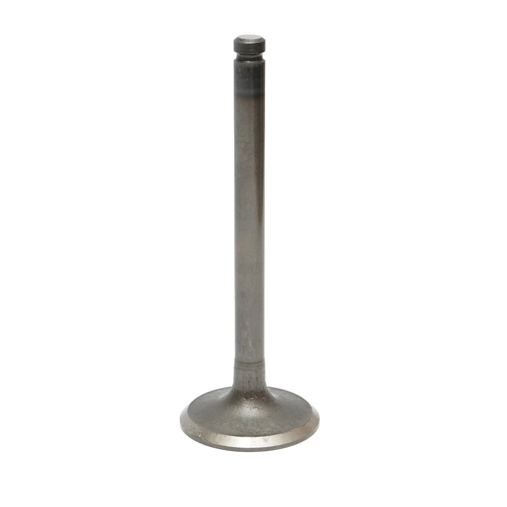 Valvola di aspirazione Massey Ferguson Codice OEM 3142H002, 746823M1