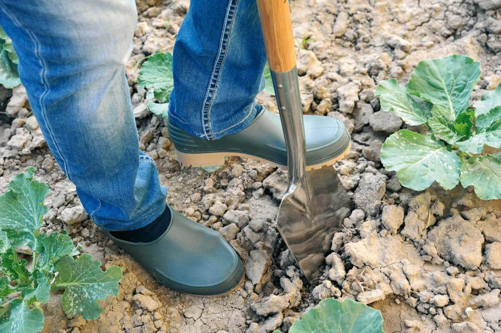 Scarpe da Giardinaggio in PVC Misura 38 Rama Verdi