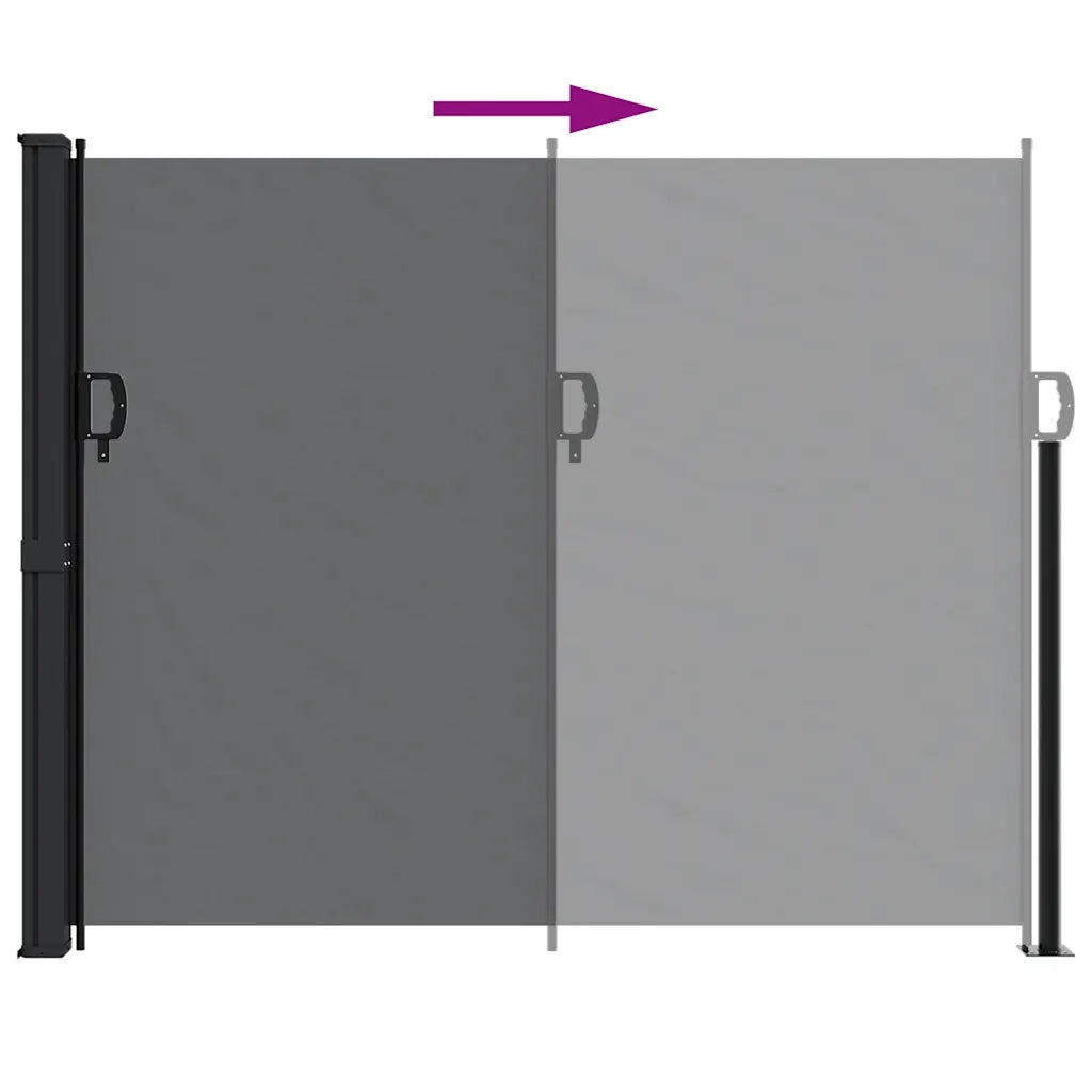 Tenda da Sole Laterale Retrattile Nera 160x300 cm 4004309