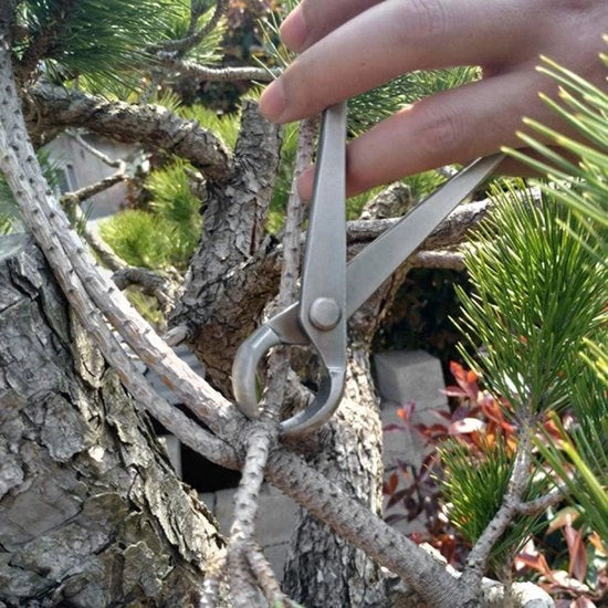 Taglierino a goccia da 180 mm in acciaio inossidabile per bonsai e giardinaggio.