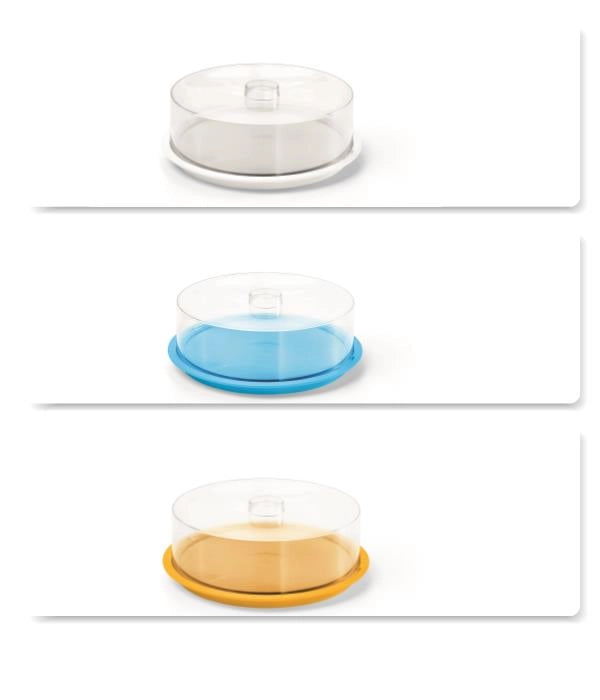1 Pezzo Copritorta Tondo con Coperchio Trasparente Delice 35 x 12 cm 3 Colori