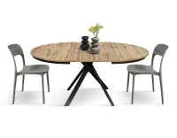 PAZZO DESIGN Tavolo Allungabile con Gambe Incrociate rotondo, Made in Italy, Basamento Nero, Rovere rustico