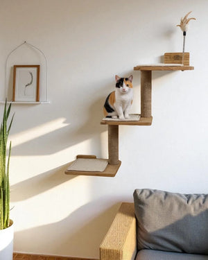 Albero per gatti Duna