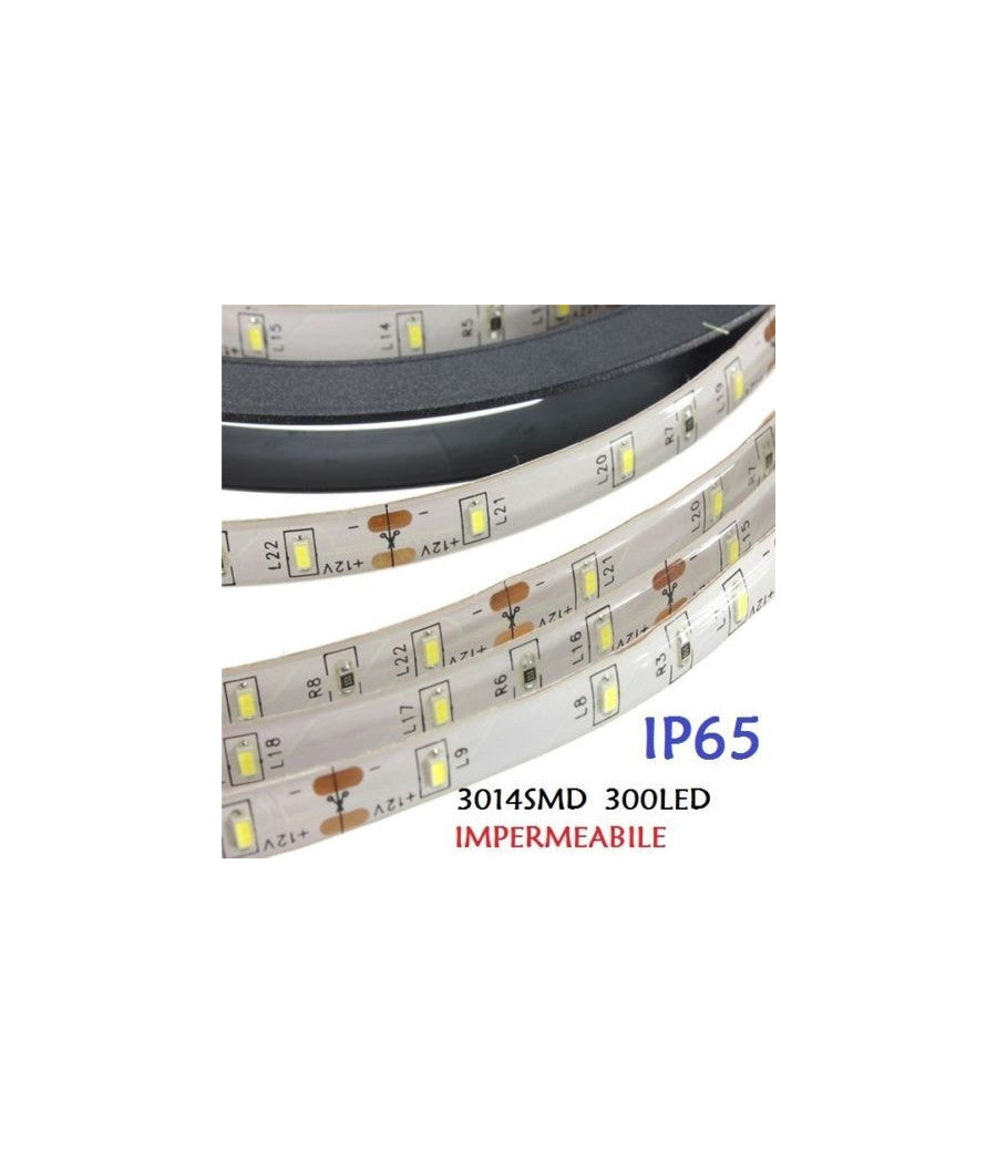 5 Metri Strip Striscia 300 Led 3014 Smd Per Esterno Ip65 12 V Dc Caldo Freddo  -bianco Freddo      -