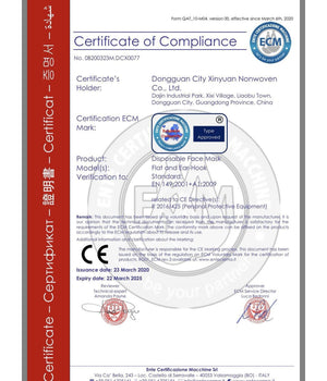 50 Mascherine Protettive Viso Chirurgiche Monouso Mascherina Con Testo Pace         