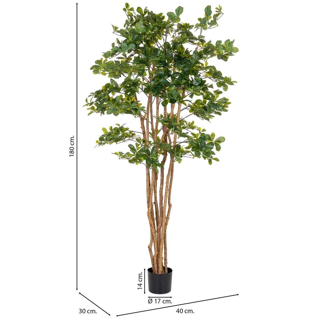 Pianta di baniano artificiale decorativa in vaso 40x30x180h cm