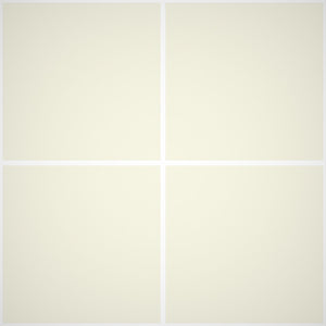 Idropittura Domus - Rivestimenti Interni 501 - Litri 14