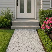 Pavimenti in ciottoli Bianco 30 x 30 cm Ciottolo Fluviale 42033533