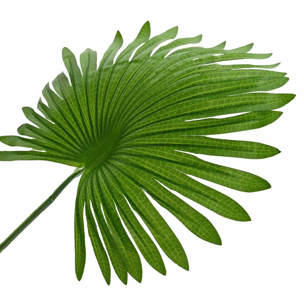Albero di Palma Fan Artificiale Verde 60 x 25 x 170 cm CFW6407662