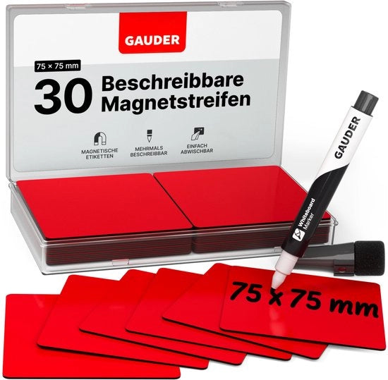 Etichette magnetiche descrittabili - Tavole magnetiche riutilizzabili per lavagne bianche, lavagne scolastiche, tavole Kanban e frigoriferi - Carte magnetiche con pennarelli (30 pezzi - 75 x 75 mm)