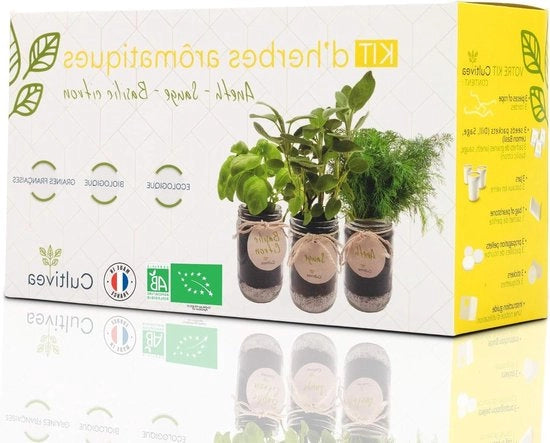 Kit di coltivazione aromatiche - Semi 100% biologici e ecologici - Giardino interno per verdure - Pianta (Basilico Prezzemolo e Prezzemolo selvatico) - Regalo (Salvia Aneto Basilico limone)