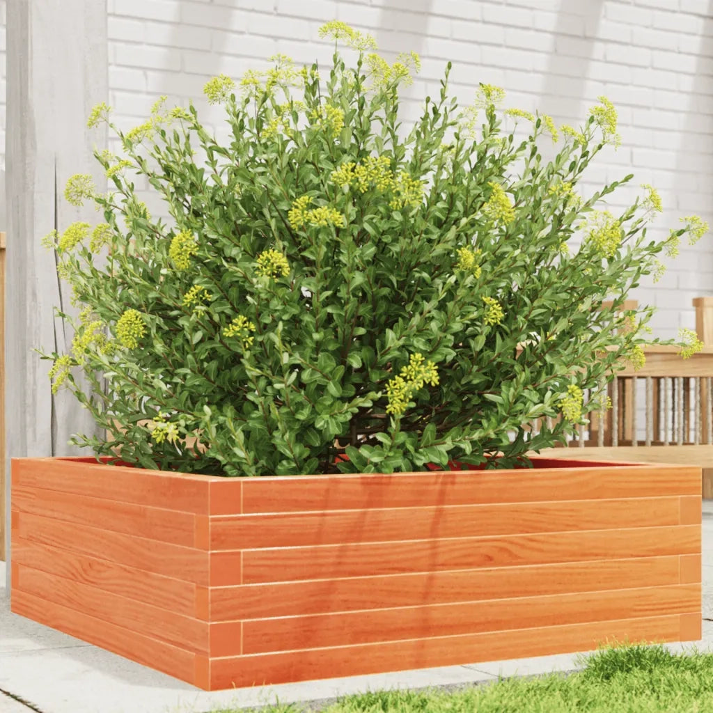 Fioriera Giardino Marrone Cera 70x70x23 cm Legno Massello Pino 847195