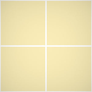 Stucco di Finitura per Interni tipo Veneziano Venetian Lime - Rivestimenti Interni 503 - Formato 1 -2 kg