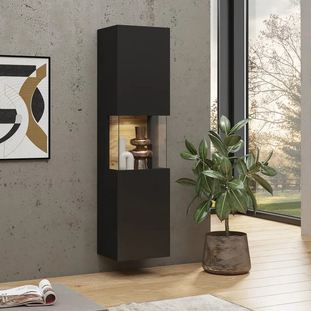 Vetrina 1 porta parzialmente vetrata collezione EVA. Colore nero e rovere.