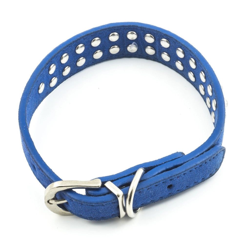 Trade Shop - Collare Per Cane Cani Con Strass E Brillantini Brillantinato Taglia Media -