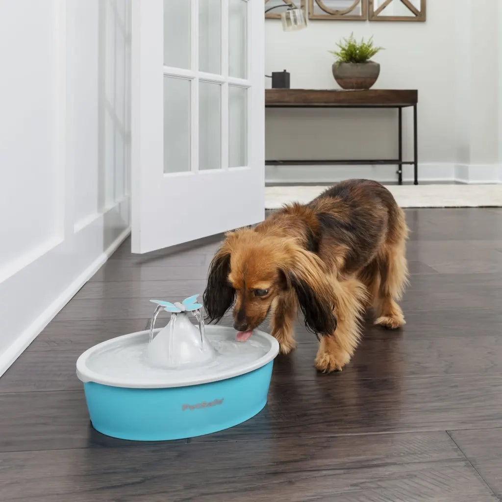 PetSafe Fontana per Animali Domestici Drinkwell con Farfalla 1,5 L 444457