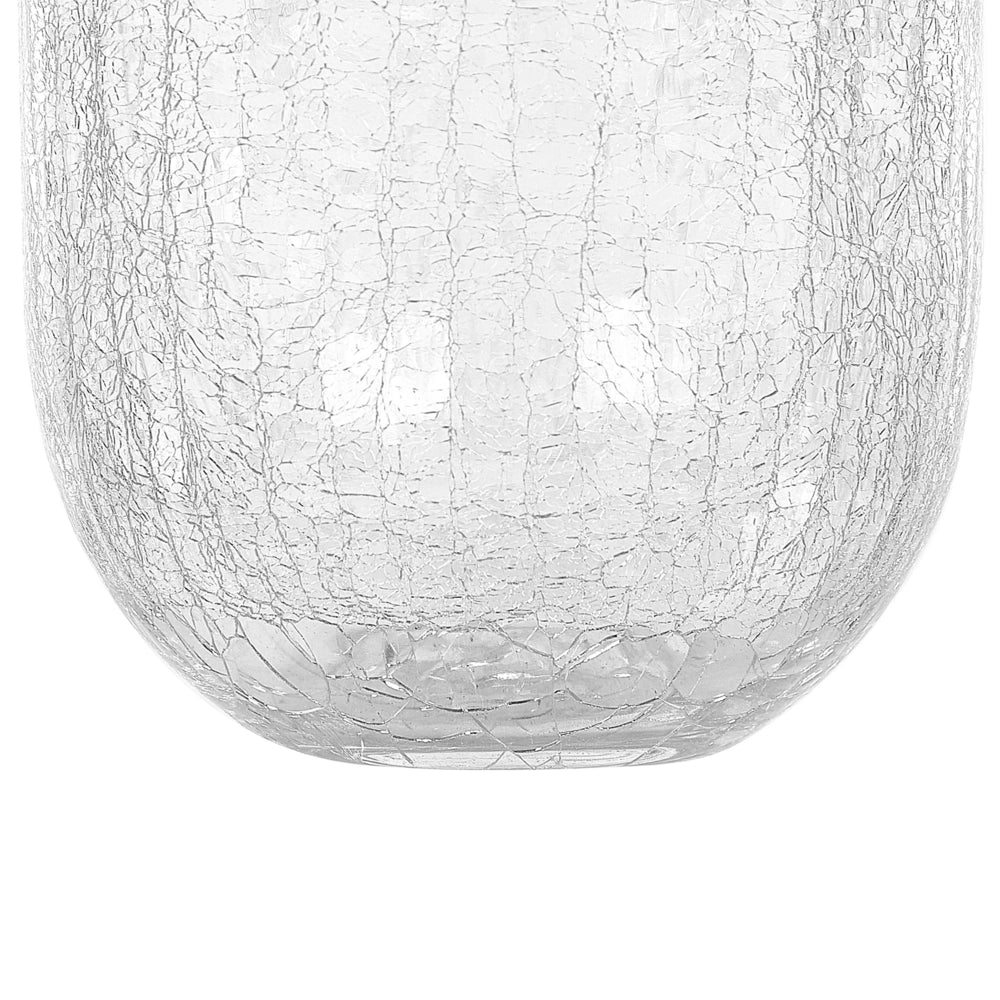 Vaso da fiori di forma rotonda vetro trasparente 28 cm stile moderno minimalista