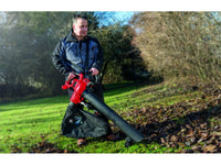 Soffiatore aspiratore elettrico Einhell GC-EL 3000 E 3000W 300 km/h sacco 45L