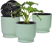 Pianta di plastica con sistema di irrigazione - Zona di autoirrigazione - Verde - Interno ed esterno - Vaso per orchidee - Vaso per erbe - Coltivazione idroponica - Set da 4