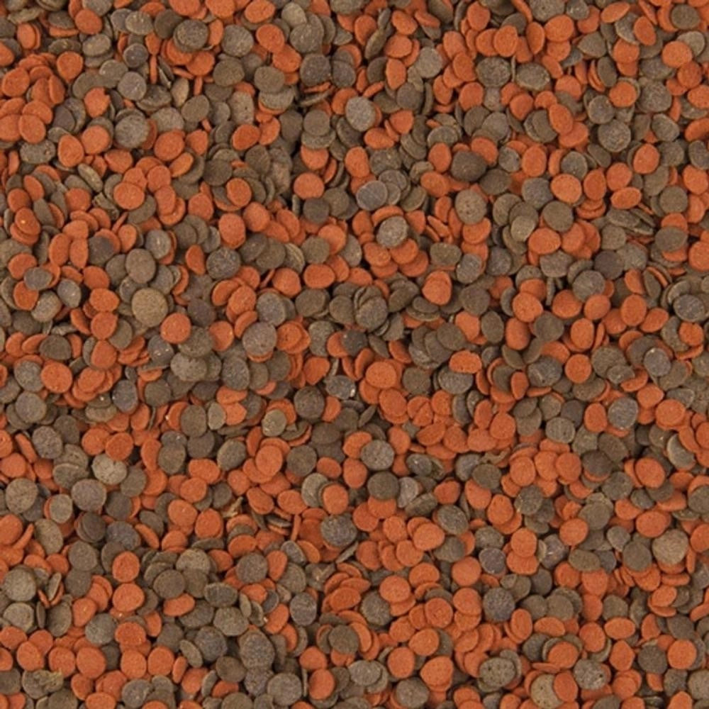 Tropical Cichlid Chips - mangime per ciclidi per intensificare i colori Formato: 1000 ml