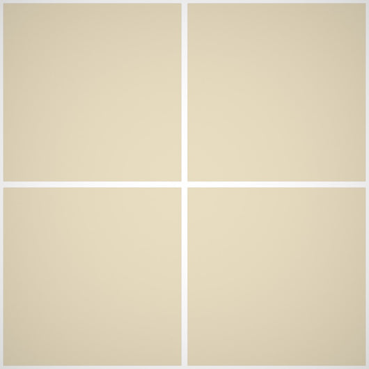 Idropittura Domus - Rivestimenti Interni 507 - Litri 5