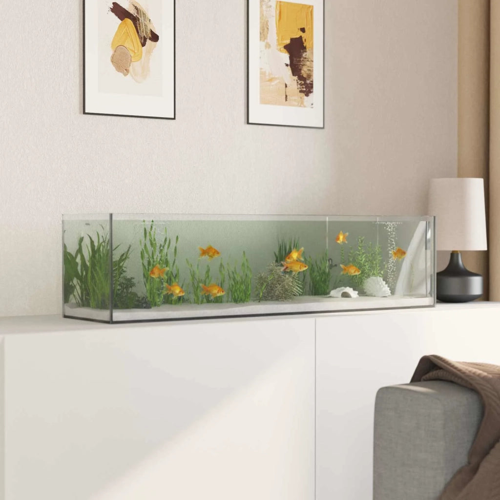 Acquario con archiviazione Trasparente 80 x 20 x 20 cm Vetro 42020386