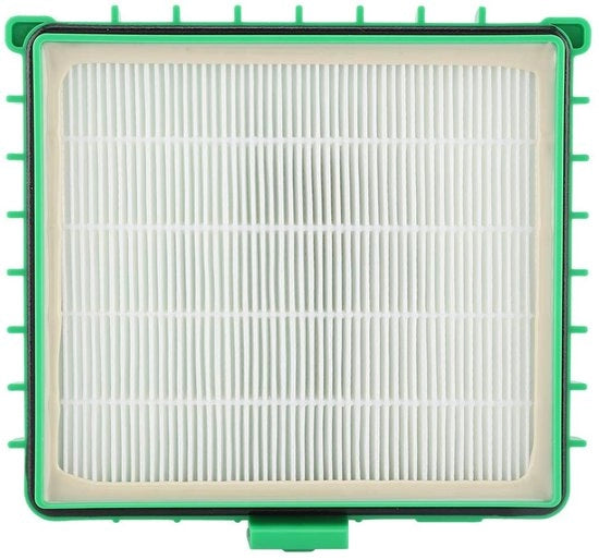 Filtro HEPA Nuovo - Filtro per Aspirapolvere - Pezzo di Ricambio - Carbone Attivo - Compatibile con RO4421/RO4427 - 172x160x40 mm