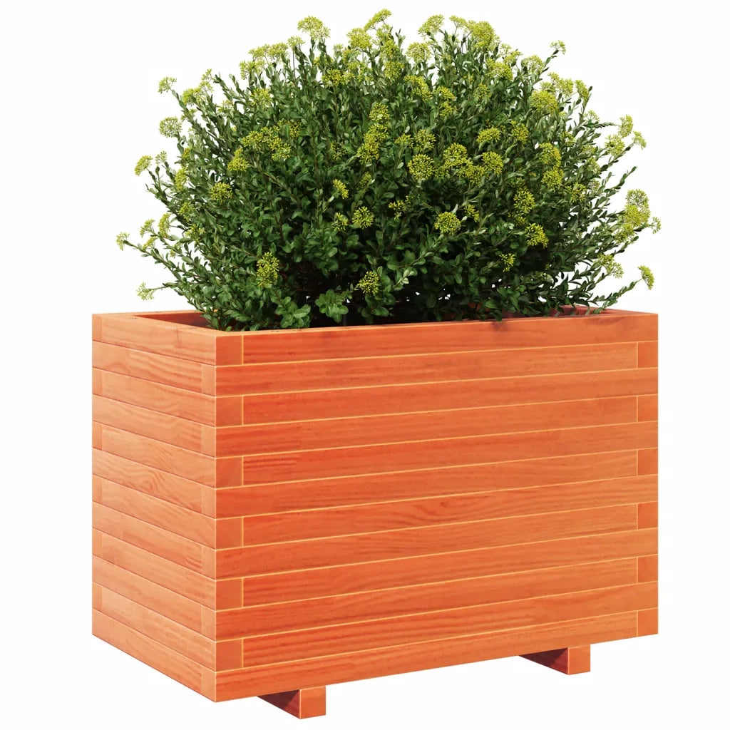 Fioriera Giardino Marrone Cera 70x40x49,5cm Legno Massello Pino 847370