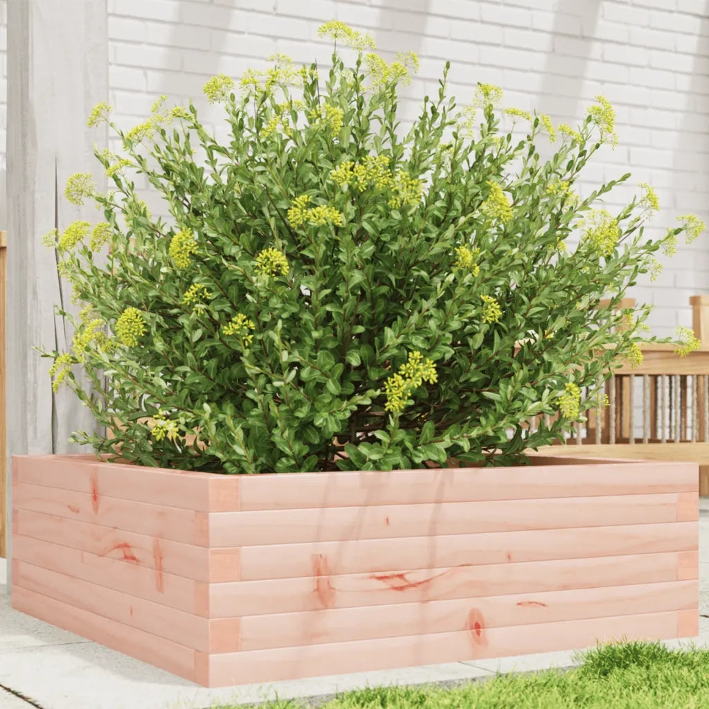 Fioriera da Giardino 70x70x23 cm in Legno Massello di Douglas 847196