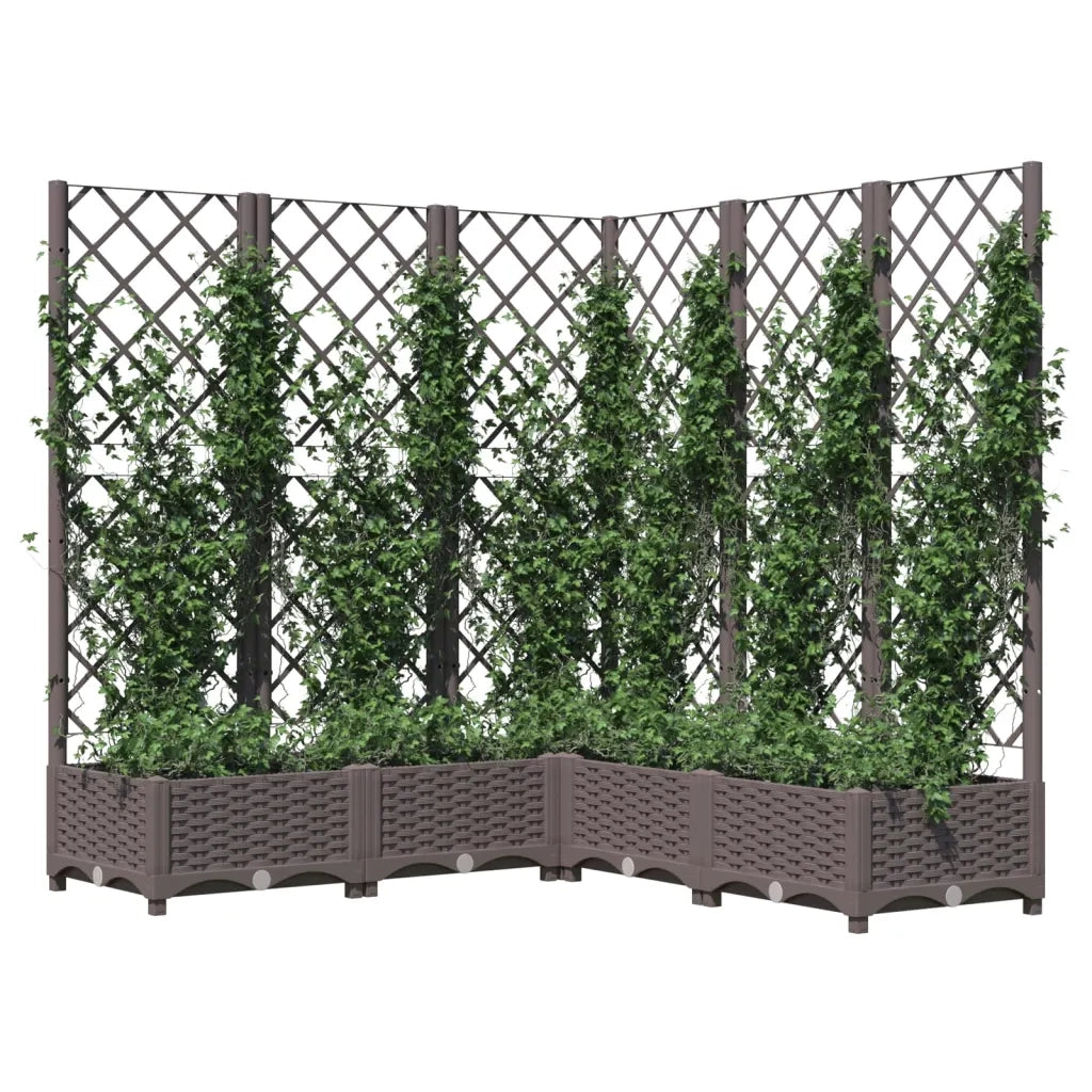 Fioriera | Cassetta per fiori | Vaso da Giardino e Graticcio Marrone 120x120x121,5 cm in PP