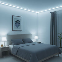 50M Striscia Led COB 8W/M 220V-240V Luce Fredda 6500K 600lm IP65 CRI=80 Angolo 180°