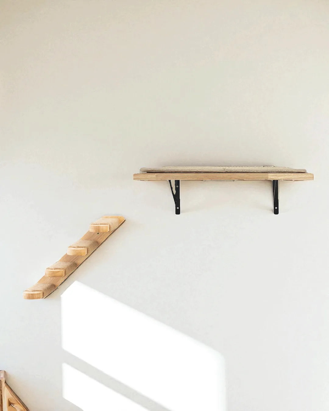 Cremagliera per gatti ad ancora