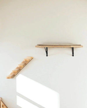 Cremagliera per gatti ad ancora