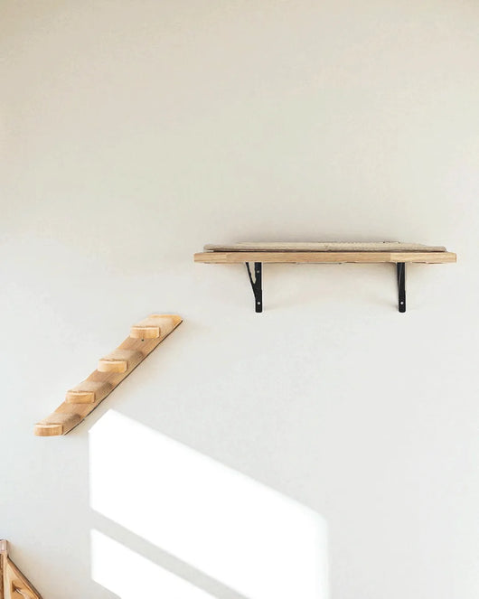 Cremagliera per gatti ad ancora