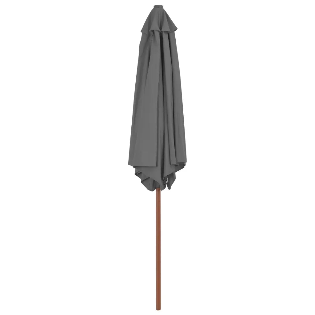 Ombrellone da Esterni con Palo in Legno 270 cm Antracite 44515