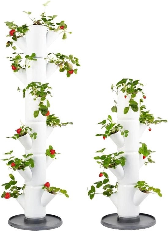 Cesti per la coltivazione delle fragole - Vaso per fragole - Torre per piante - Cesto per fragole - Vaso per fragole