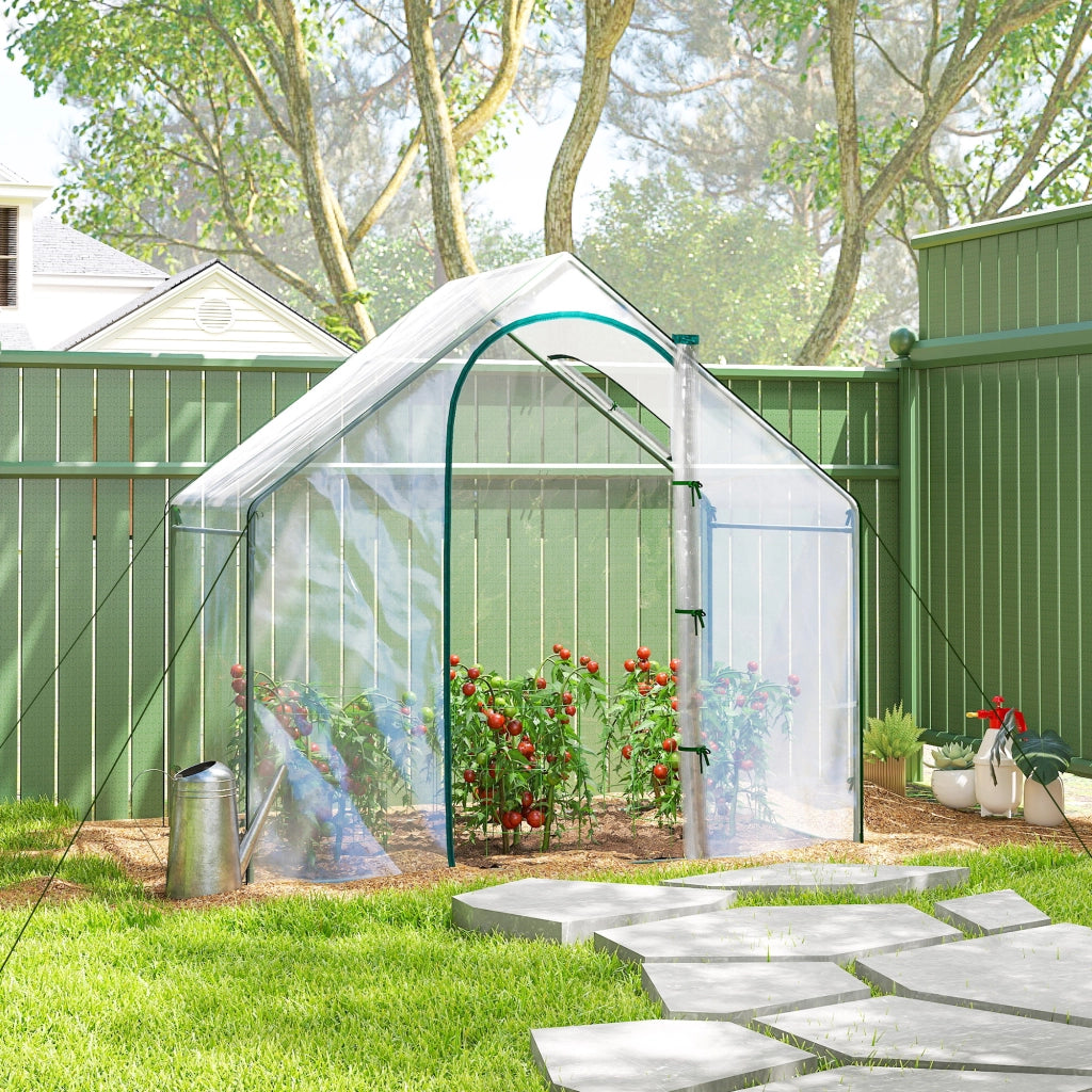 Serra da Giardino con Finestra e Porta ¨C Zephmum ¨C 180x100x168 cm Trasparente