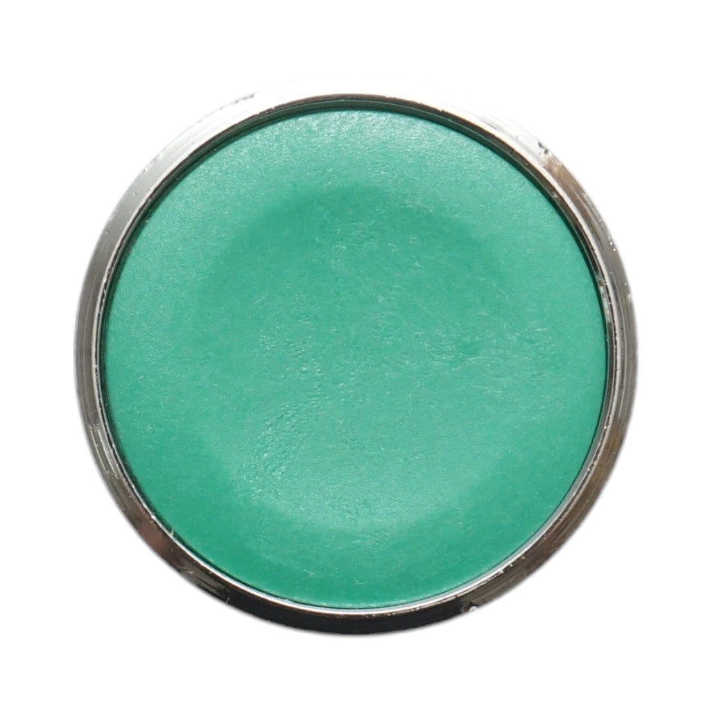 Testa del pulsante di controllo verde Ø 22mm ZBE Breckner Germany