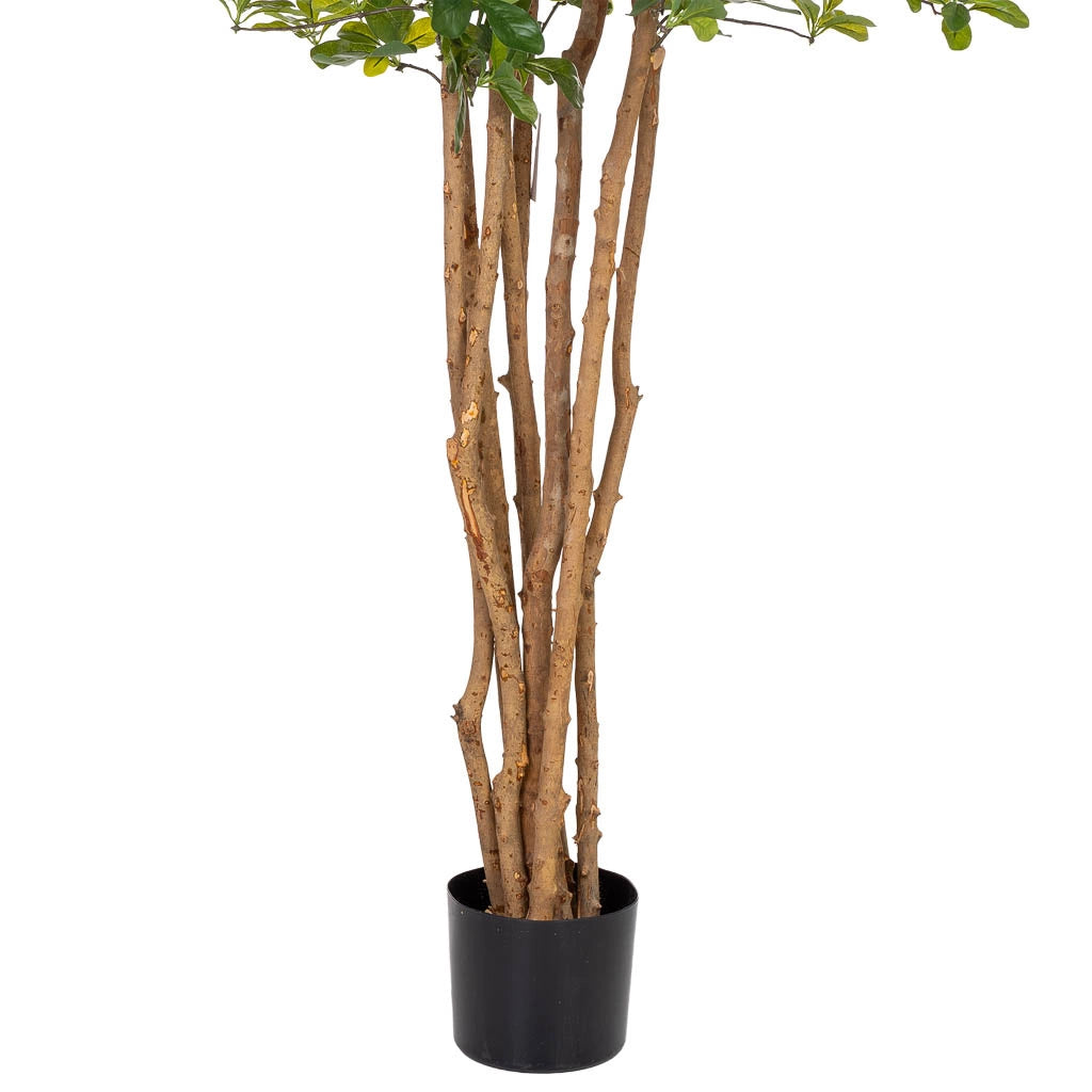 Pianta di baniano artificiale decorativa in vaso 40x30x180h cm