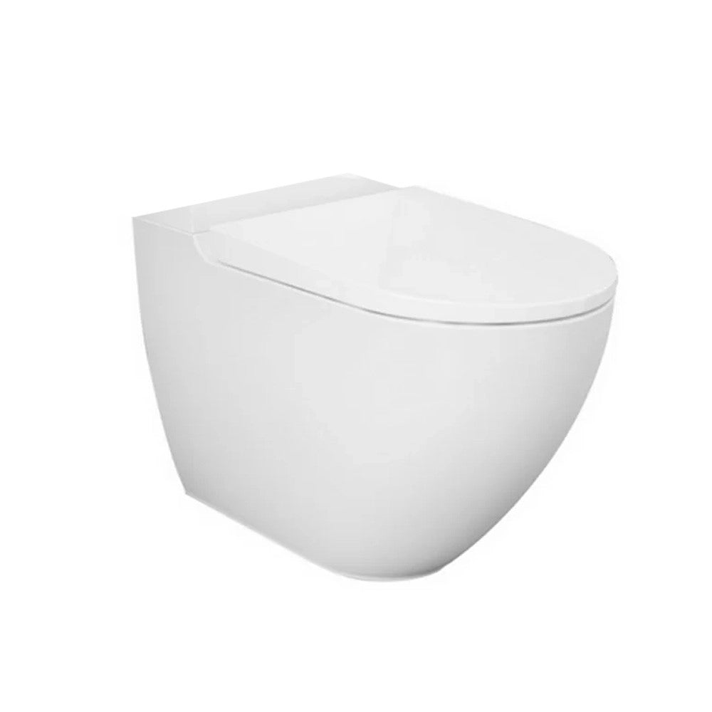 Vaso monoblocco serie Des filo muro rimless