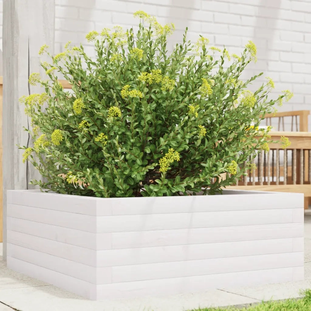 Fioriera da Giardino-Vaso da Esterno Bianca 60x60x23 cm Legno Massello di Pino