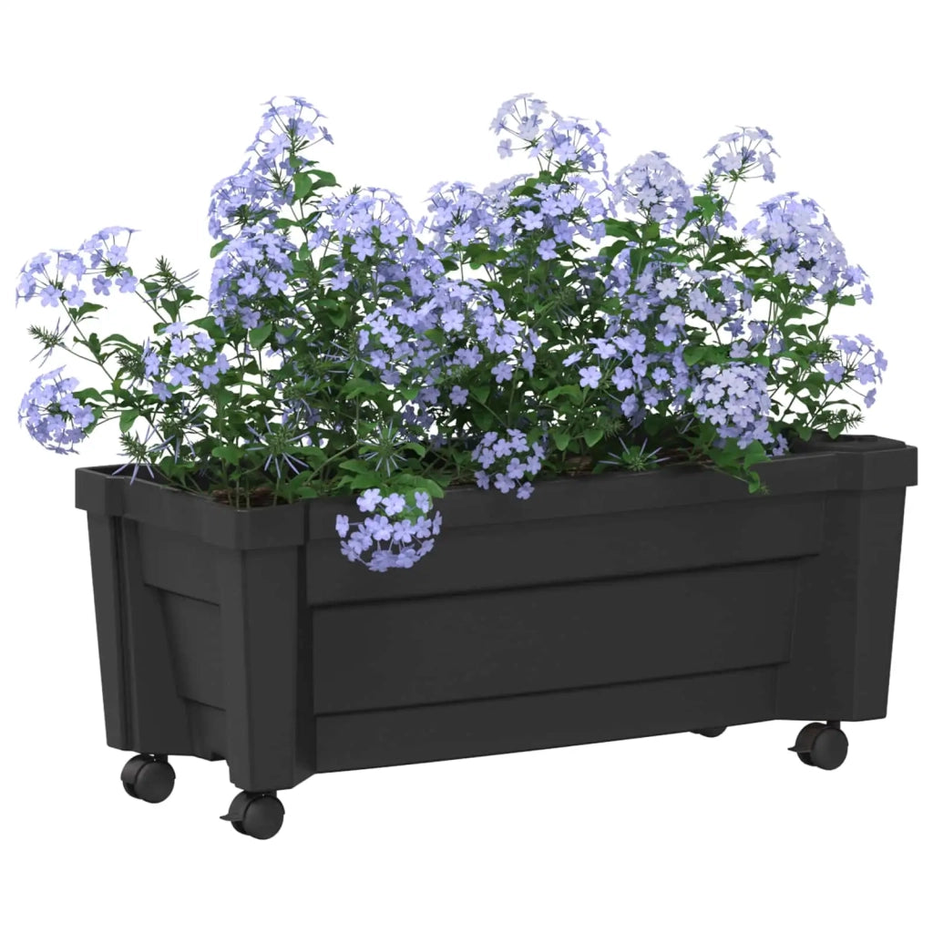 Vaso Calypso con Ruote Antracite 79 x 35 x 33 cm PP CFW2739994
