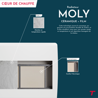 Radiatore elettrico Thomson WiFi con ceramica secca e inerzia a film, termostato intercambiabile, molibdeno da 1000 W