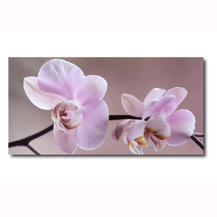 Canvas Stampato Alta risoluzione 50x100 cm FIORE Telaio in Legno Tela in cotone