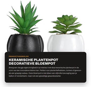 Vaso di Pianta Innovativo Piccolo - Vaso Decorativo per Piante - Vaso di Pianta Compresso - Regalo per Amanti delle Piante - Esperienza d'Acqua Unica